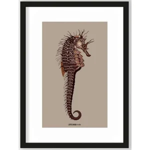 Actieprijs Art Print Maona